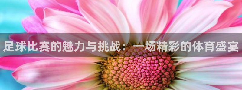  足球比赛的魅力与挑战：一场精彩的体育盛宴
