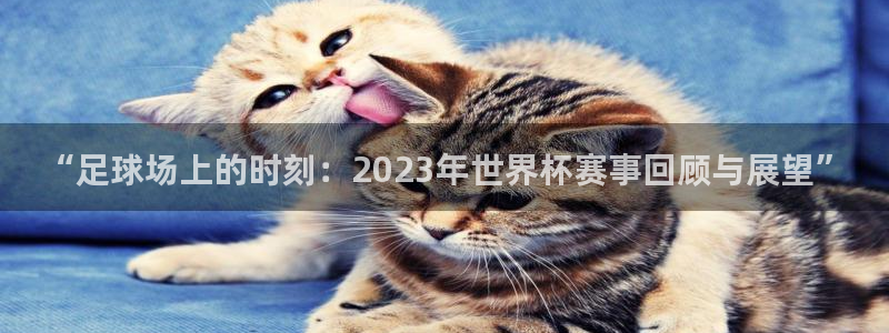  “足球场上的时刻：2023年世界杯赛事回顾与展望”