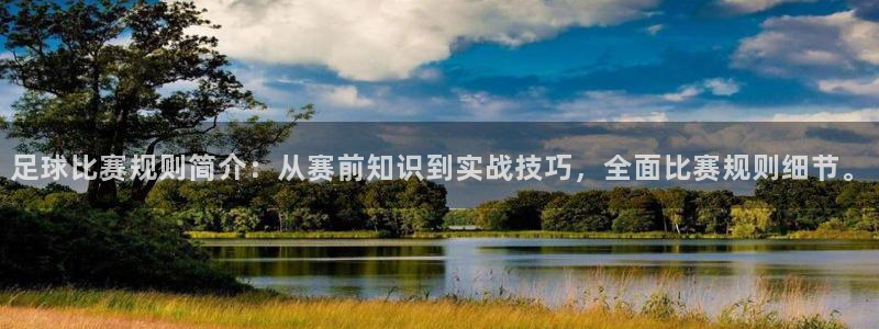 足球比赛规则简介：从赛前知识到实战技巧，全面比赛规则细节。