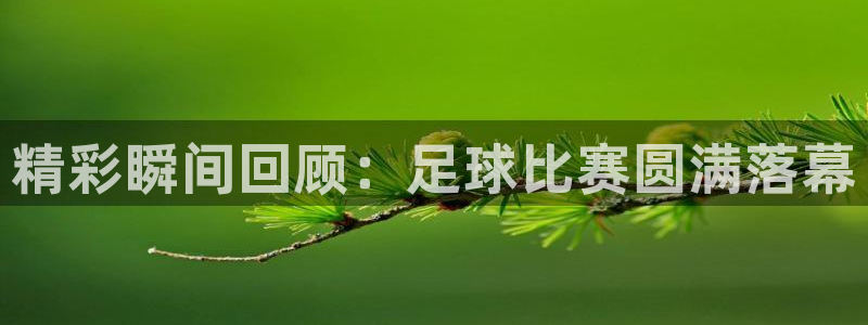 精彩瞬间回顾：足球比赛圆满落幕