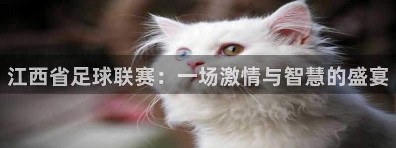  江西省足球联赛：一场激情与智慧的盛宴