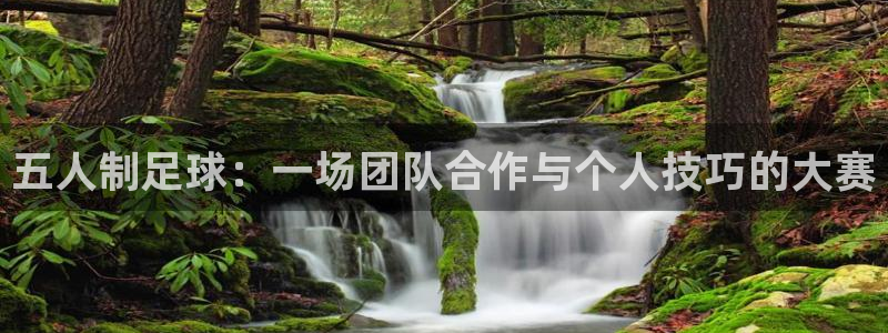 五人制足球：一场团队合作与个人技巧的大赛