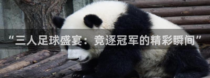 “三人足球盛宴：竞逐冠军的精彩瞬间”