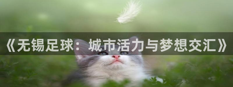 《无锡足球：城市活力与梦想交汇》