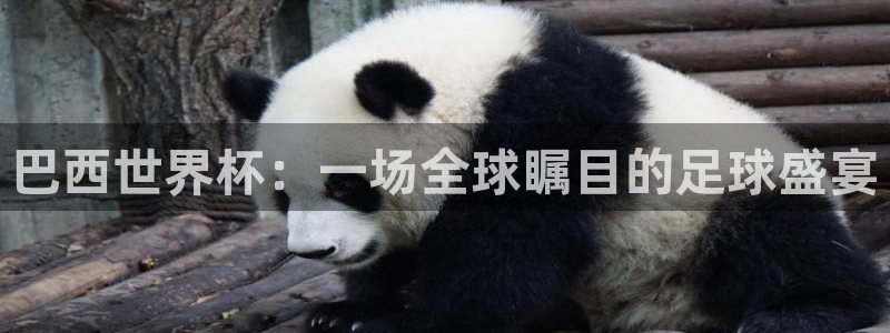  巴西世界杯：一场全球瞩目的足球盛宴