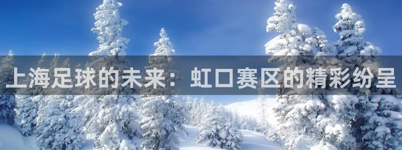 上海足球的未来：虹口赛区的精彩纷呈