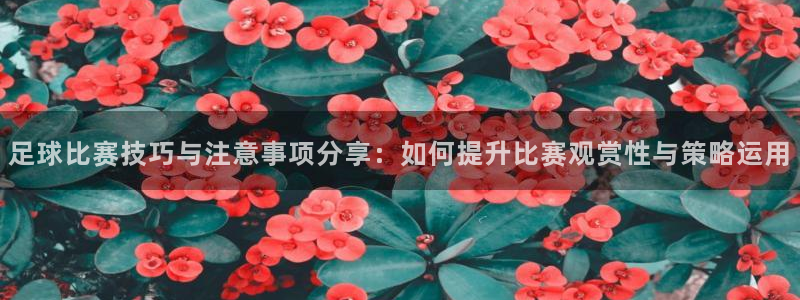  足球比赛技巧与注意事项分享：如何提升比赛观赏性与策略运用