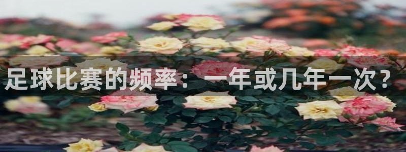  足球比赛的频率：一年或几年一次？