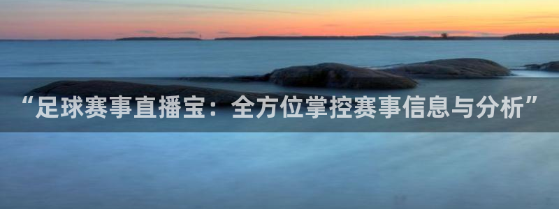  “足球赛事直播宝：全方位掌控赛事信息与分析”