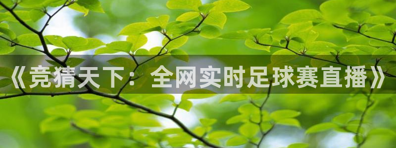  《竞猜天下：全网实时足球赛直播》