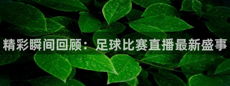  精彩瞬间回顾：足球比赛直播最新盛事