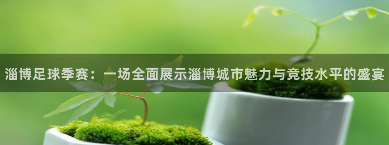  淄博足球季赛：一场全面展示淄博城市魅力与竞技水平的盛宴