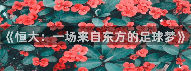 《恒大：一场来自东方的足球梦》