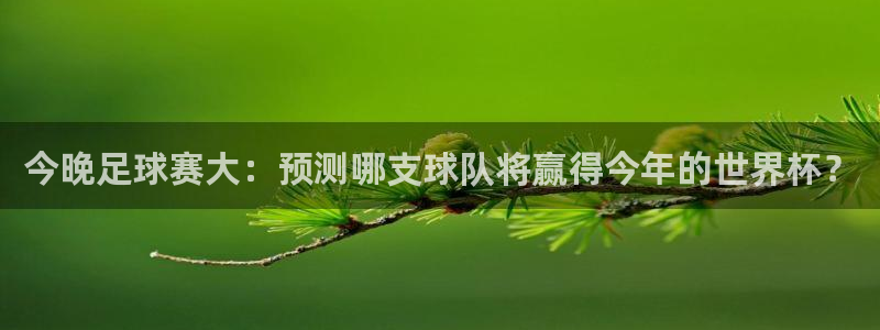 今晚足球赛大：预测哪支球队将赢得今年