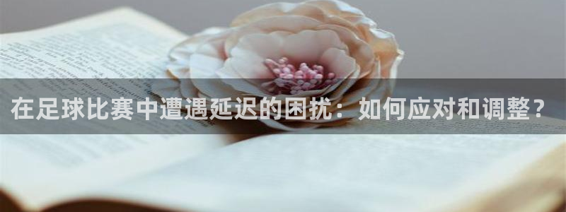 在足球比赛中遭遇延迟的困扰：如何应对