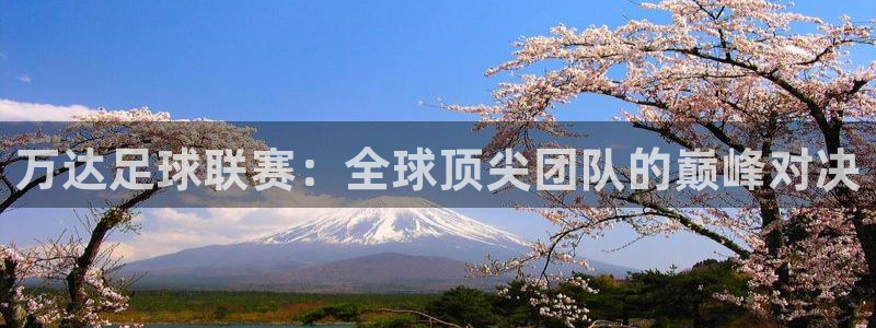 万达足球联赛：全球顶尖团队的巅峰对决