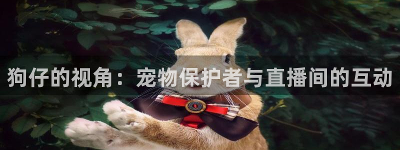 玩球直播ios版：狗仔的视角：宠物保护者与直播间的互动