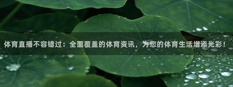 玩球直播app苹果下载：体育直播不容错过：全面覆盖的体育资讯，为您的体育生活增添光彩！