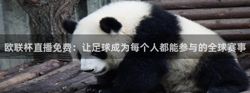 小罗玩球视频：欧联杯直播免费：让足球成为每个人都能参与的全球赛事